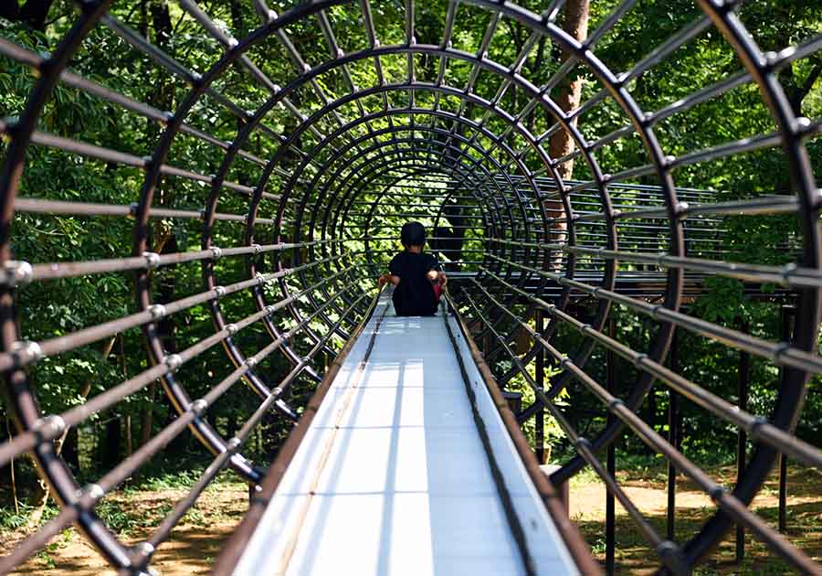 国営武蔵丘陵森林公園の画像