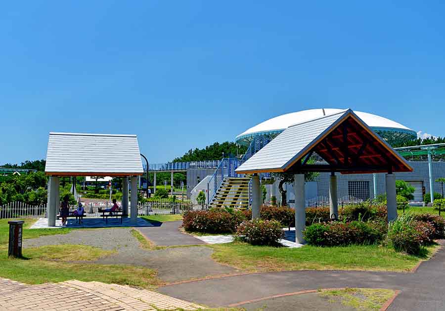 辻堂海浜公園の画像