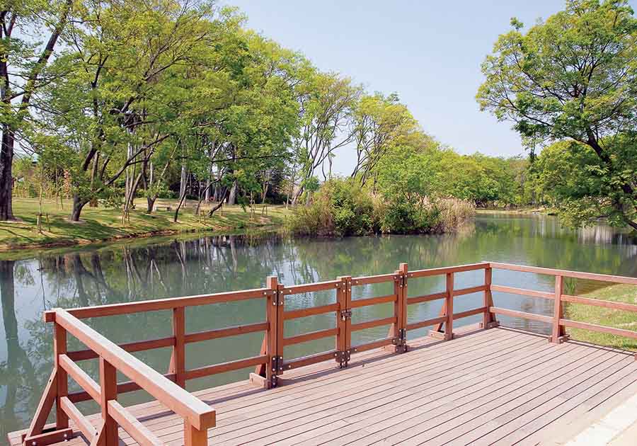 河跡湖公園の画像