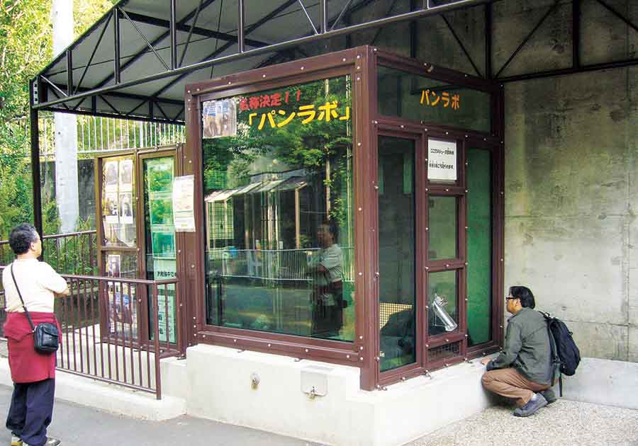 東山動植物園公園（チンパンジー　施設）の画像