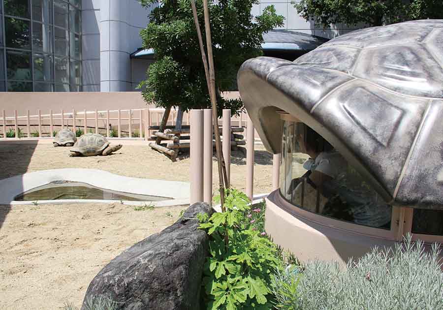 東山動植物園公園（ゾウガメ　ビューイングシェルター）の画像