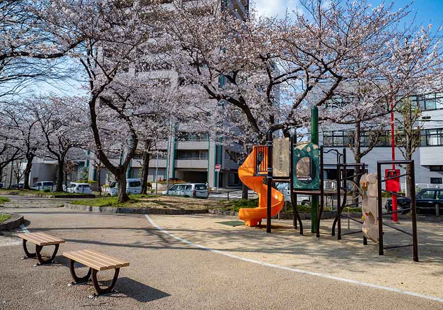 金山公園の画像