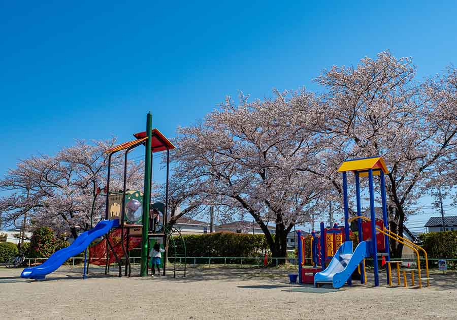 大治浄水場公園の画像