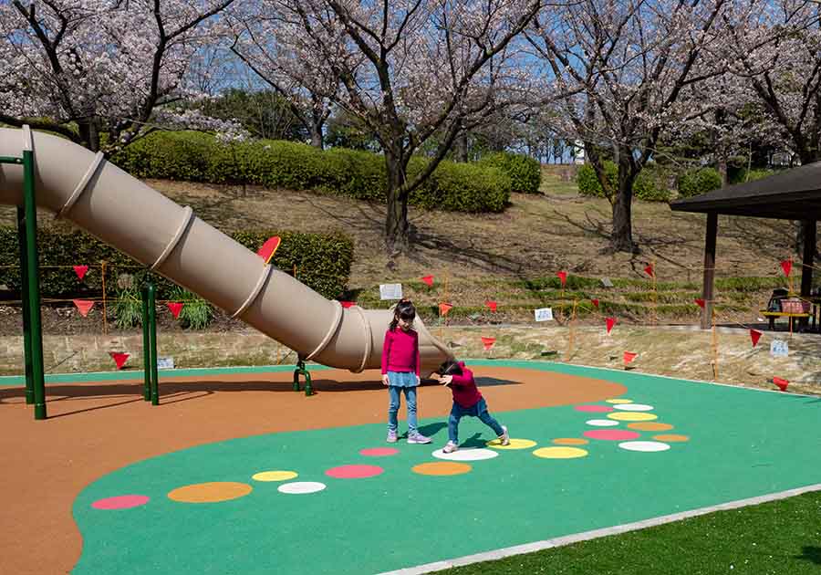 大池公園の画像