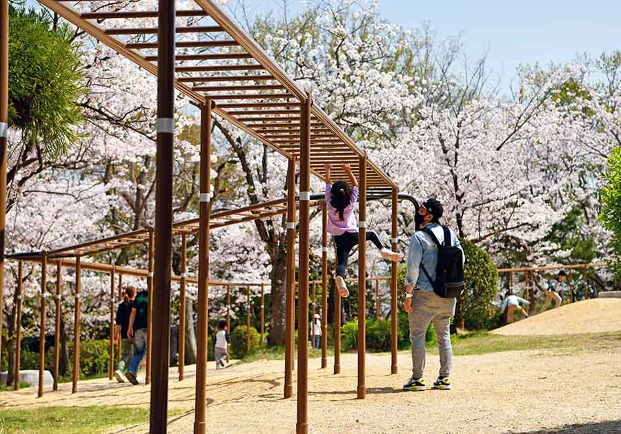 さくら近隣公園の画像