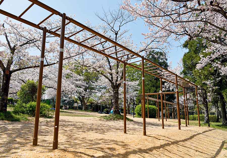 さくら近隣公園の画像