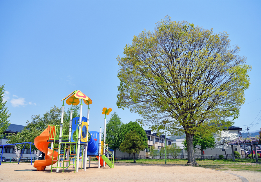 荒楯西公園
の画像