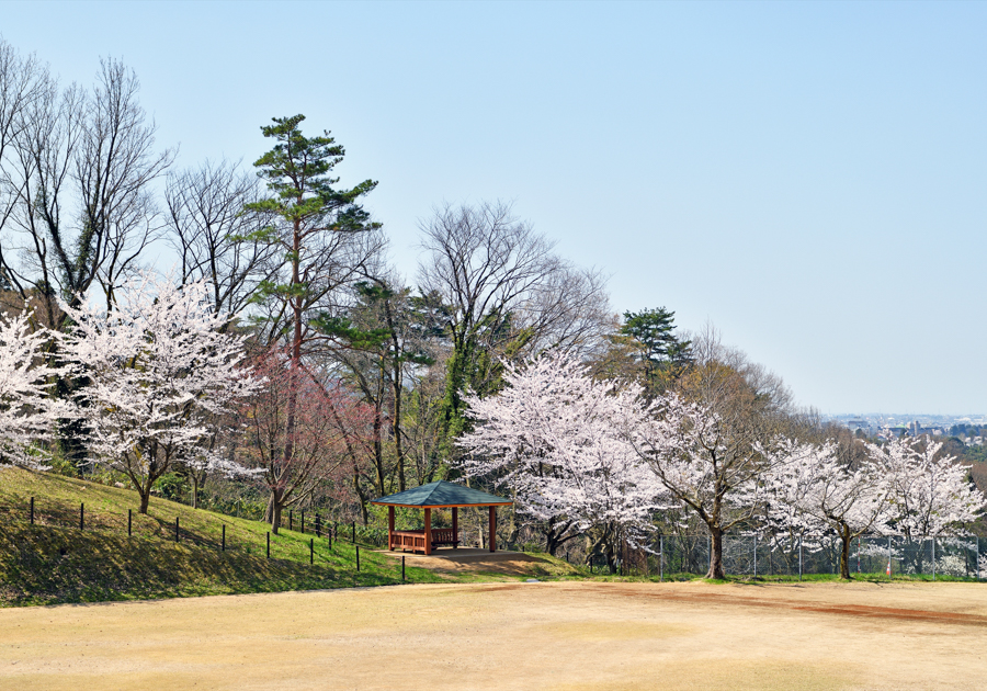 奥卯辰山健民公園
の画像