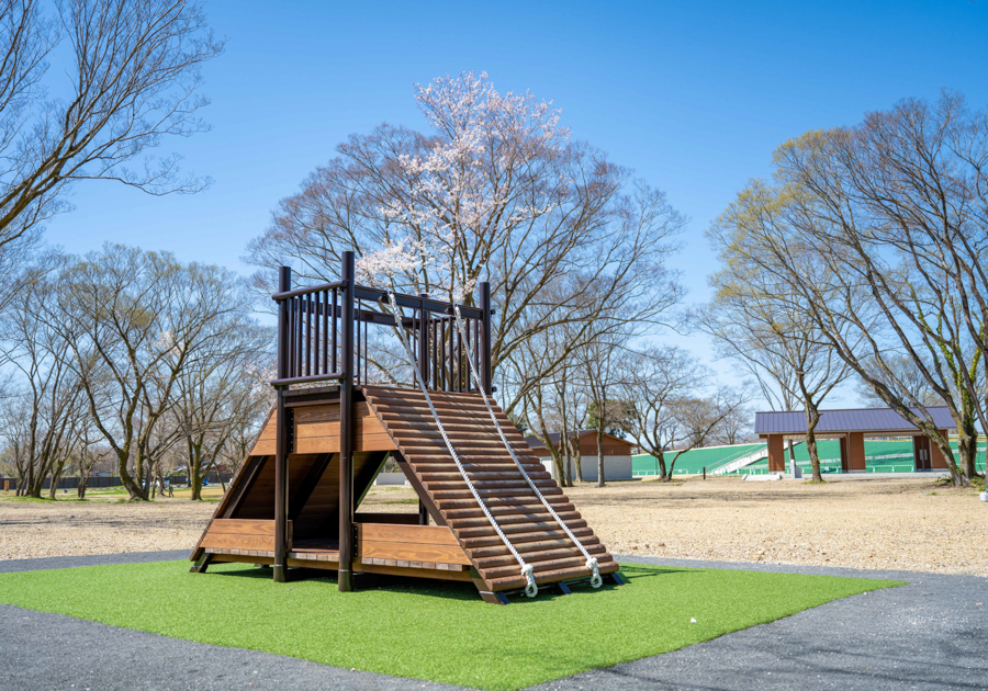 国営木曽三川公園　フラワーパーク江南「Ⅱ期地区」
の画像