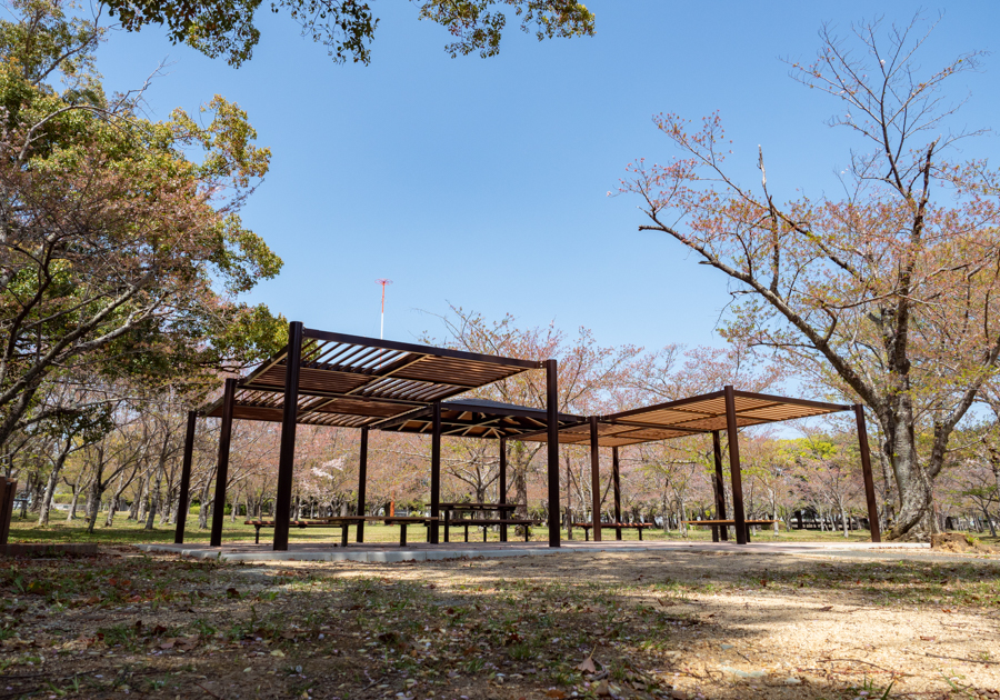 向山緑地
の画像