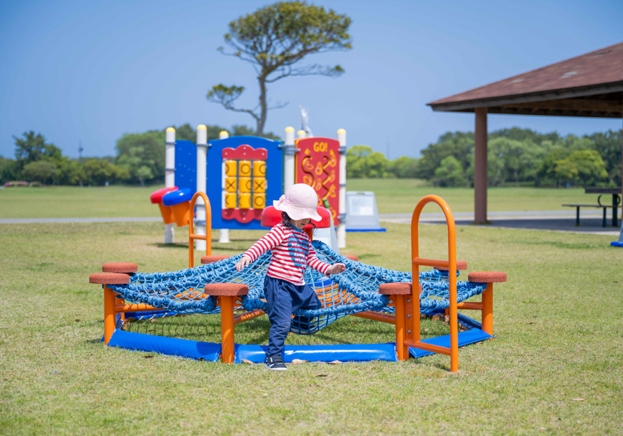 海の中道海浜公園
の画像